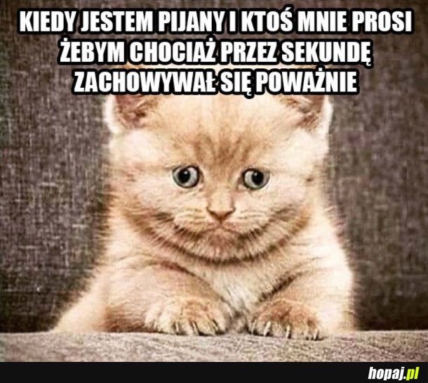 JESTEM PIJANY