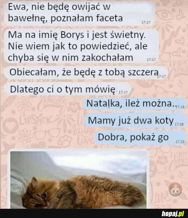 Dialog