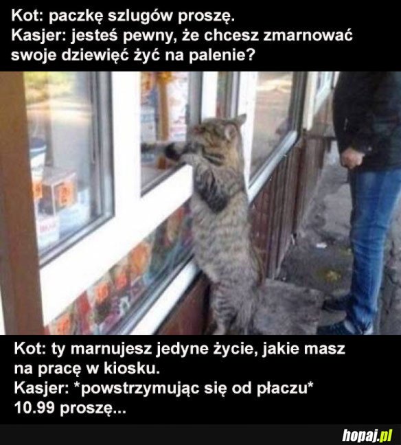 Kot co palił fajki