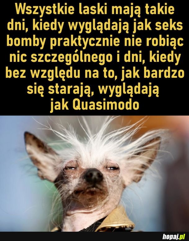 Za dnia pięknością a w nocy zaś szkaradą