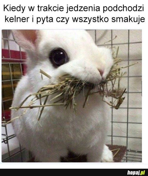 Kiedy kelner pyta czy smakuje