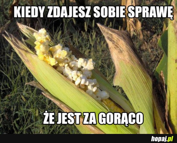 Jest gorąco