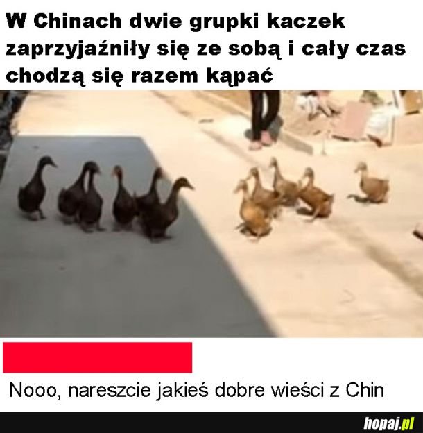 Dobre wieści