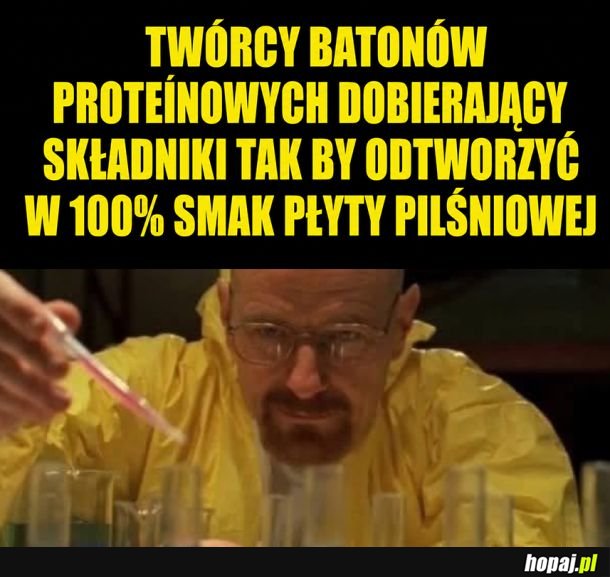 Batony proteinowe