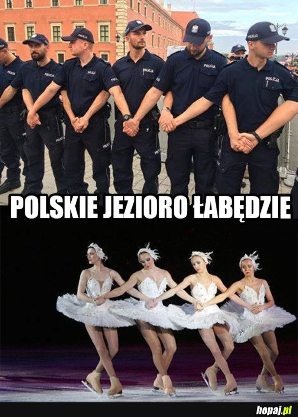 POLSKIE BALETNICE