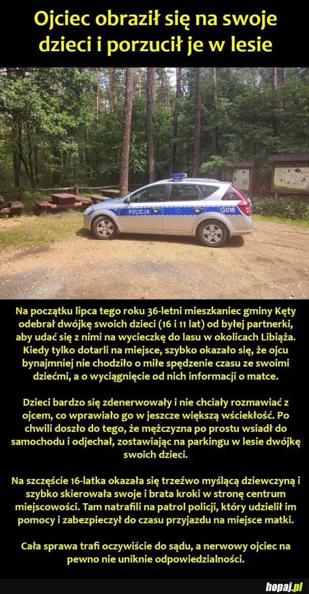 Tatuś roku