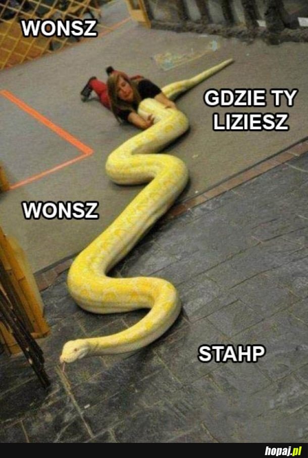 Wonsz