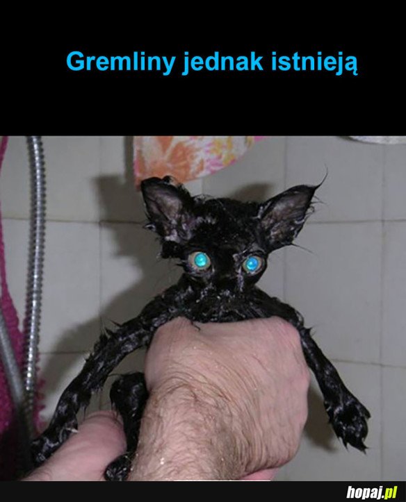 GREMLINY ISTNIEJĄ!