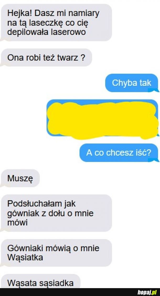 Wąsiatka