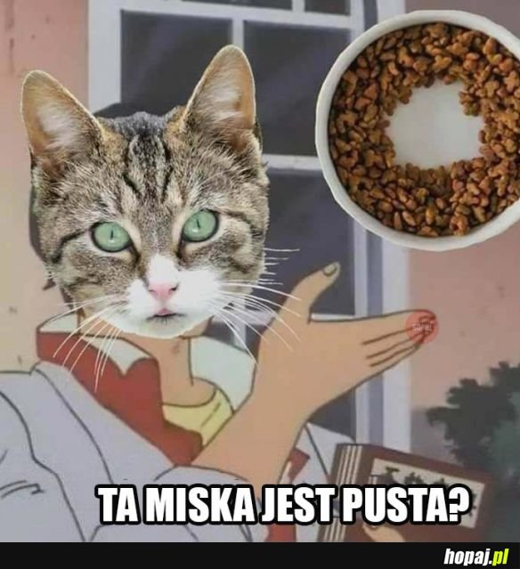 Koteł