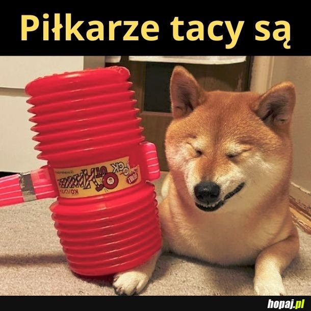 Piłkarze