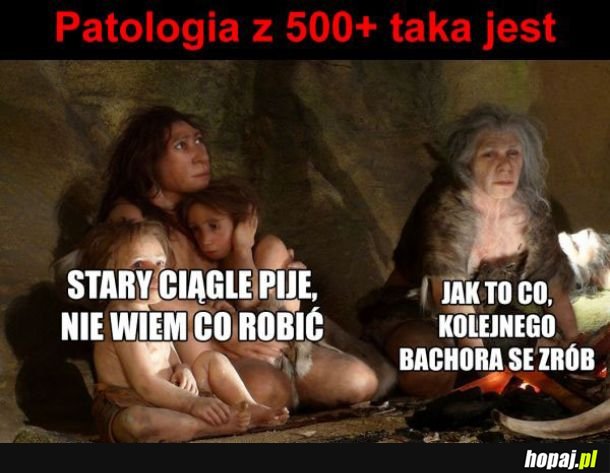 Patologia 500+