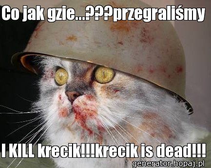 Co jak gzie...???przegraliśmy