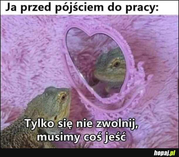 Dam radę