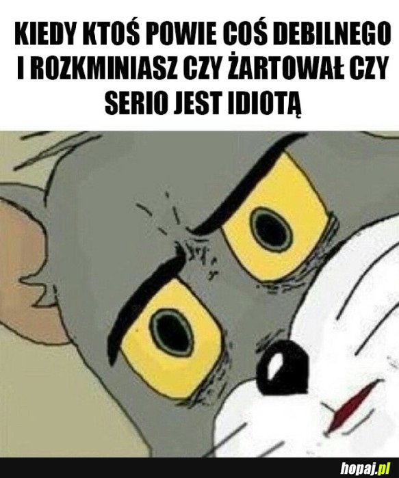 ROZMOWA Z IDIOTĄ