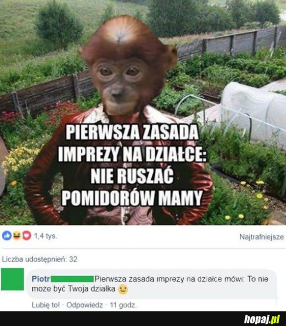 Pierwsza zasada