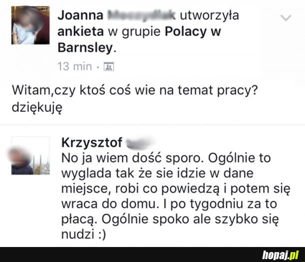 Temat pracy