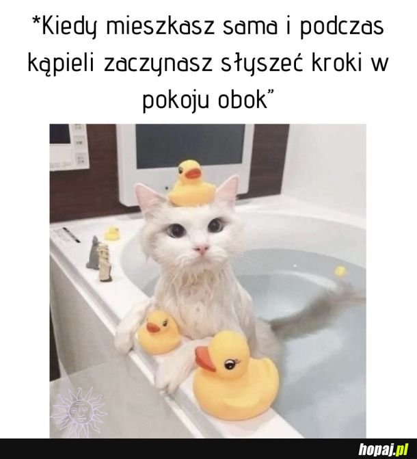 Zawał.pdf