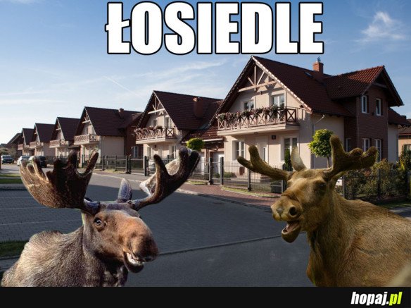 Łosiedle