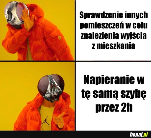 OWADZIE PROBLEMY