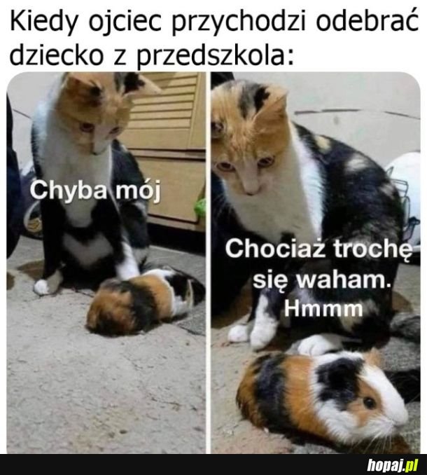 Niepewność