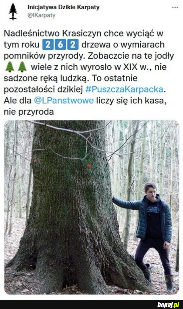 Nowy rok, a w Lasach Państwowych po staremu...