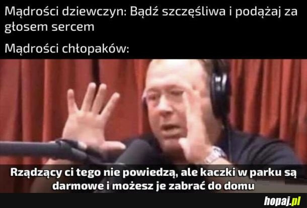 Mądrości