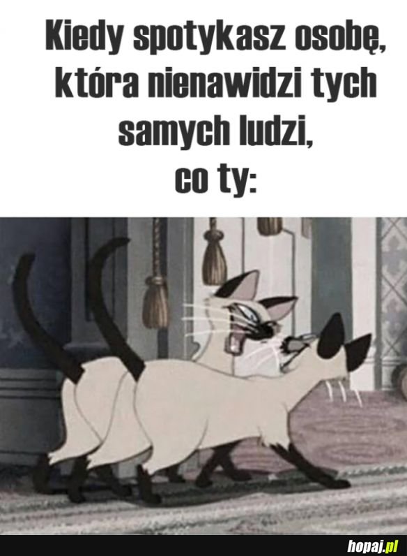 Witam serdecznie