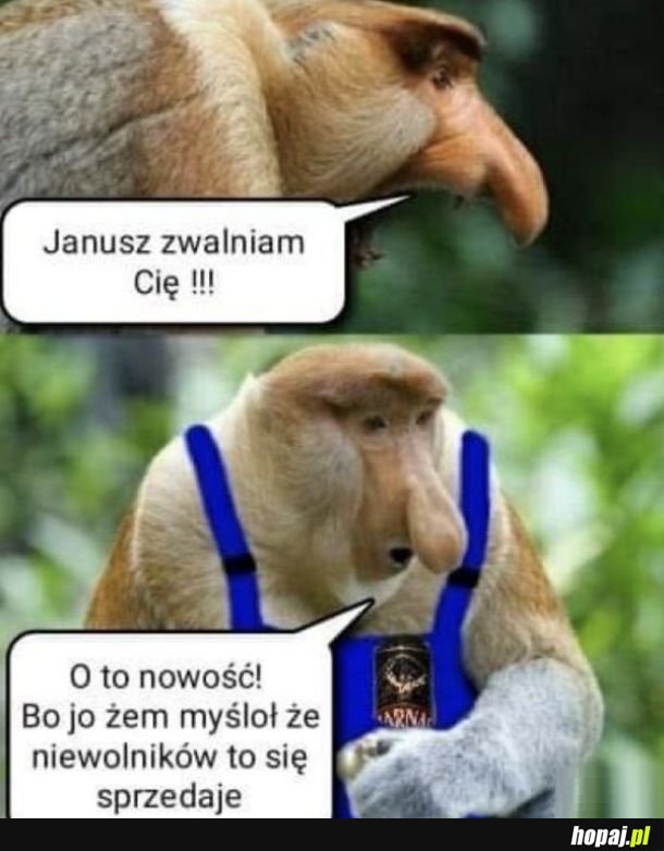 Januszex