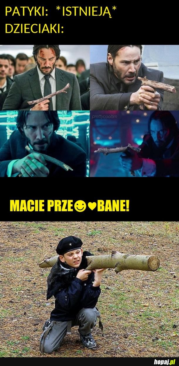 Życie patyka