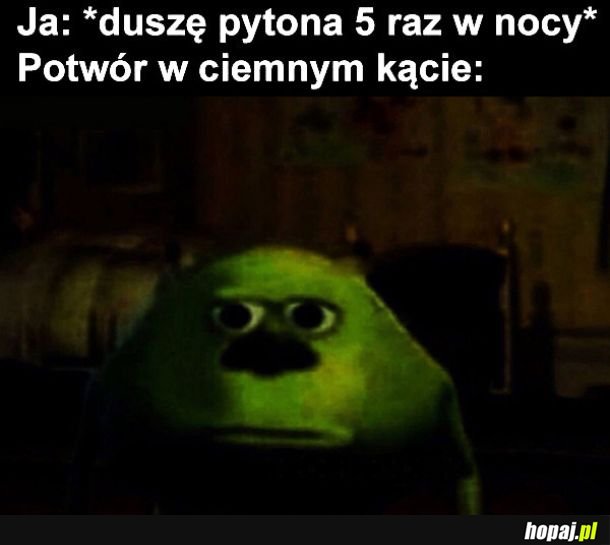 Potwór w nocy