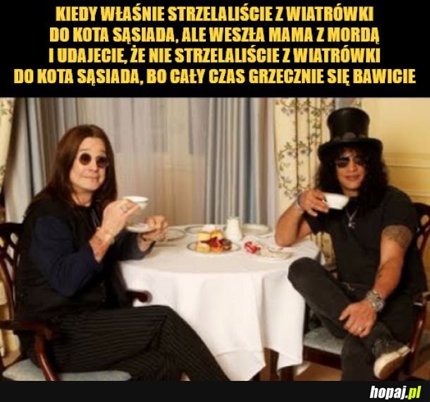 Wiatrówka. 