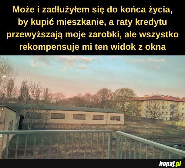 Zazdroszczę. 