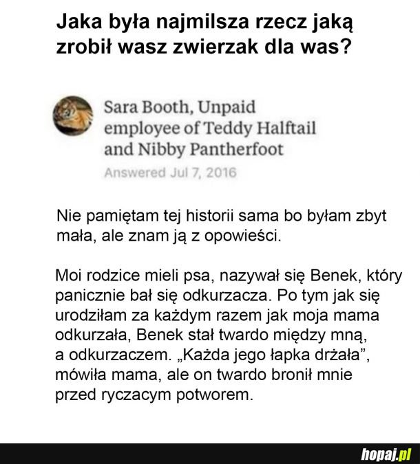 Jaka słodka historia