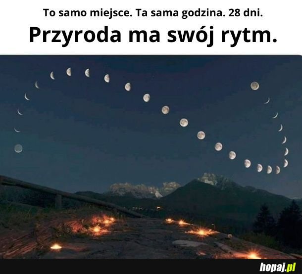 Przyroda ma swój rytm