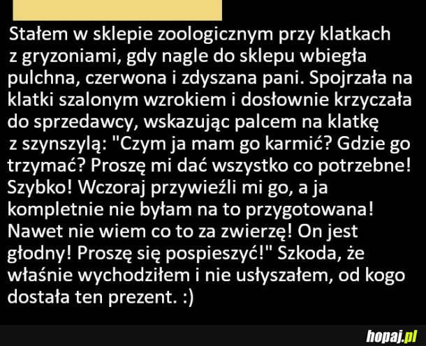 Nieoczekiwany prezent