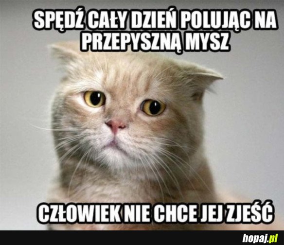 A JA SIĘ TAK STARAŁEM