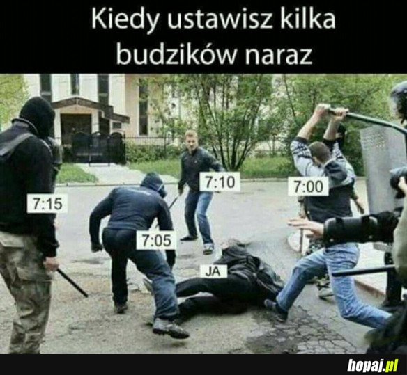 BUDZIKI Z RANA