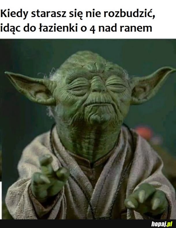 I jeszcze trafić do kibelka 