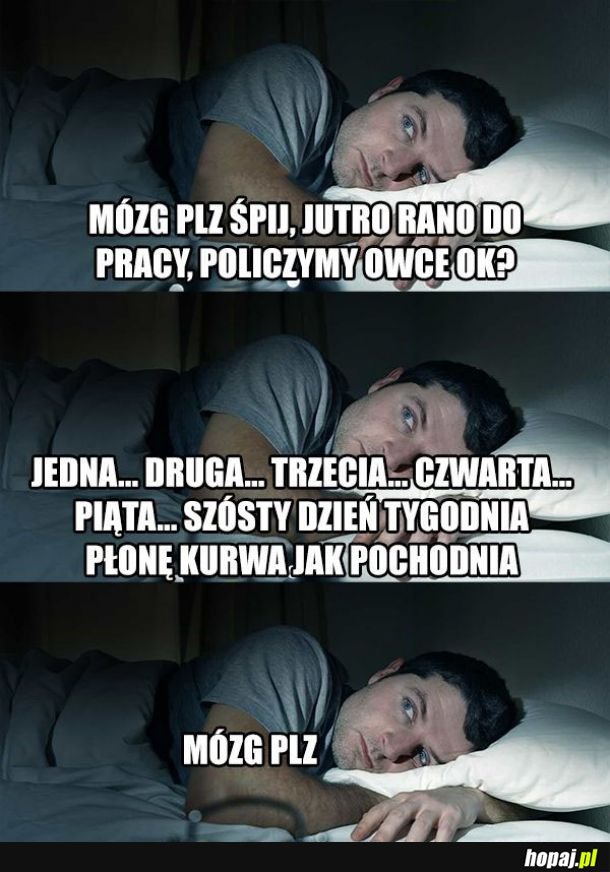 Mózg plz daj spokój