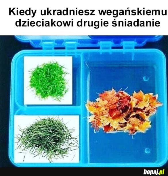 WEGAŃSKIE DRUGIE ŚNIADANIE