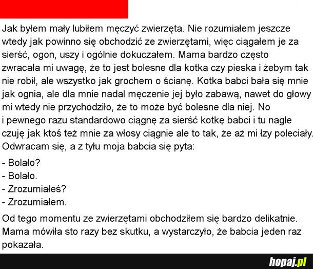 Męczenie zwierząt