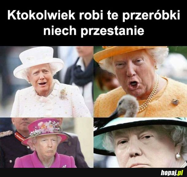 Królowa Trump