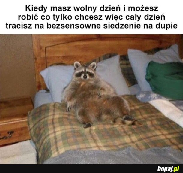 MOJE ŻYCIE W PIGUŁCE