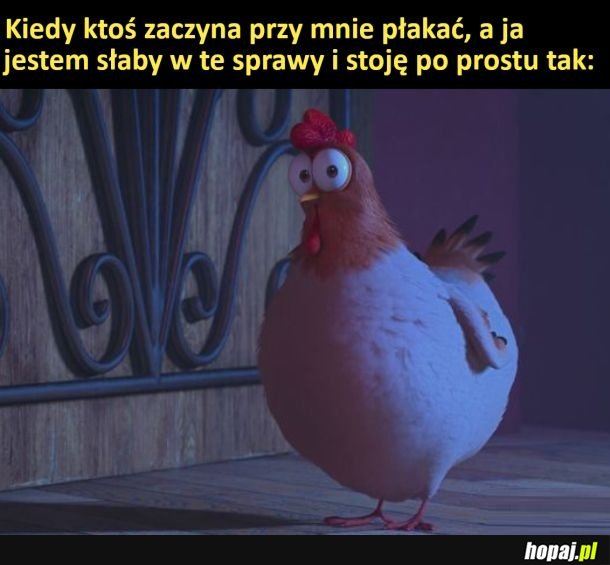 Nie wiem co zrobić