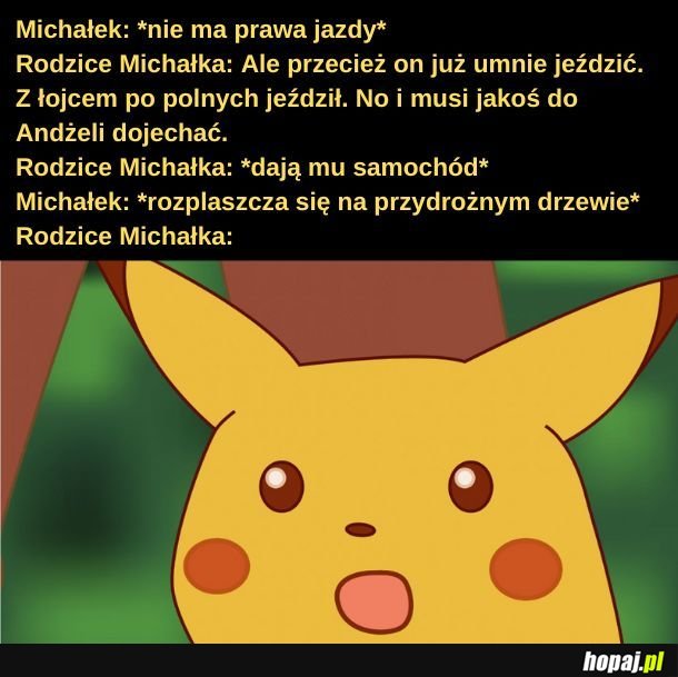 Historia Michałka. 