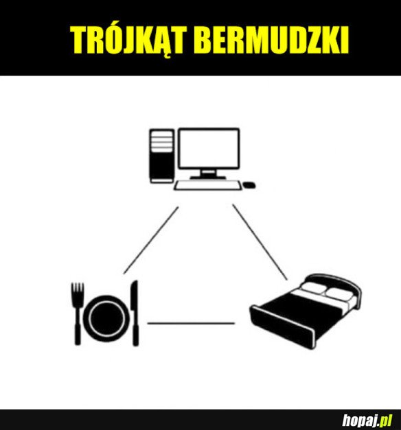 MÓJ TRÓJKĄT BERMUDZKI