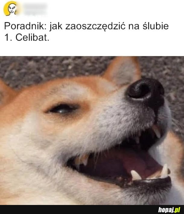 Proste i skuteczne