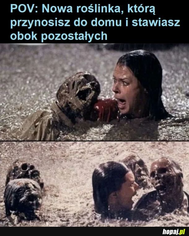 Choinka też tak skończy