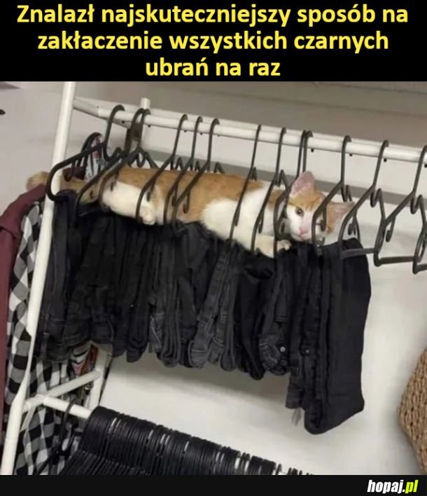 Mały rudziarz